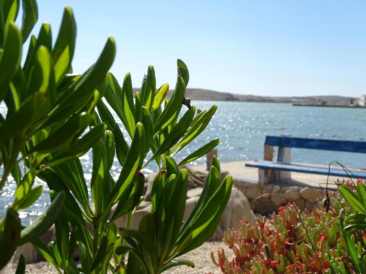 Apartments Sime Dinjiška Εξωτερικό φωτογραφία