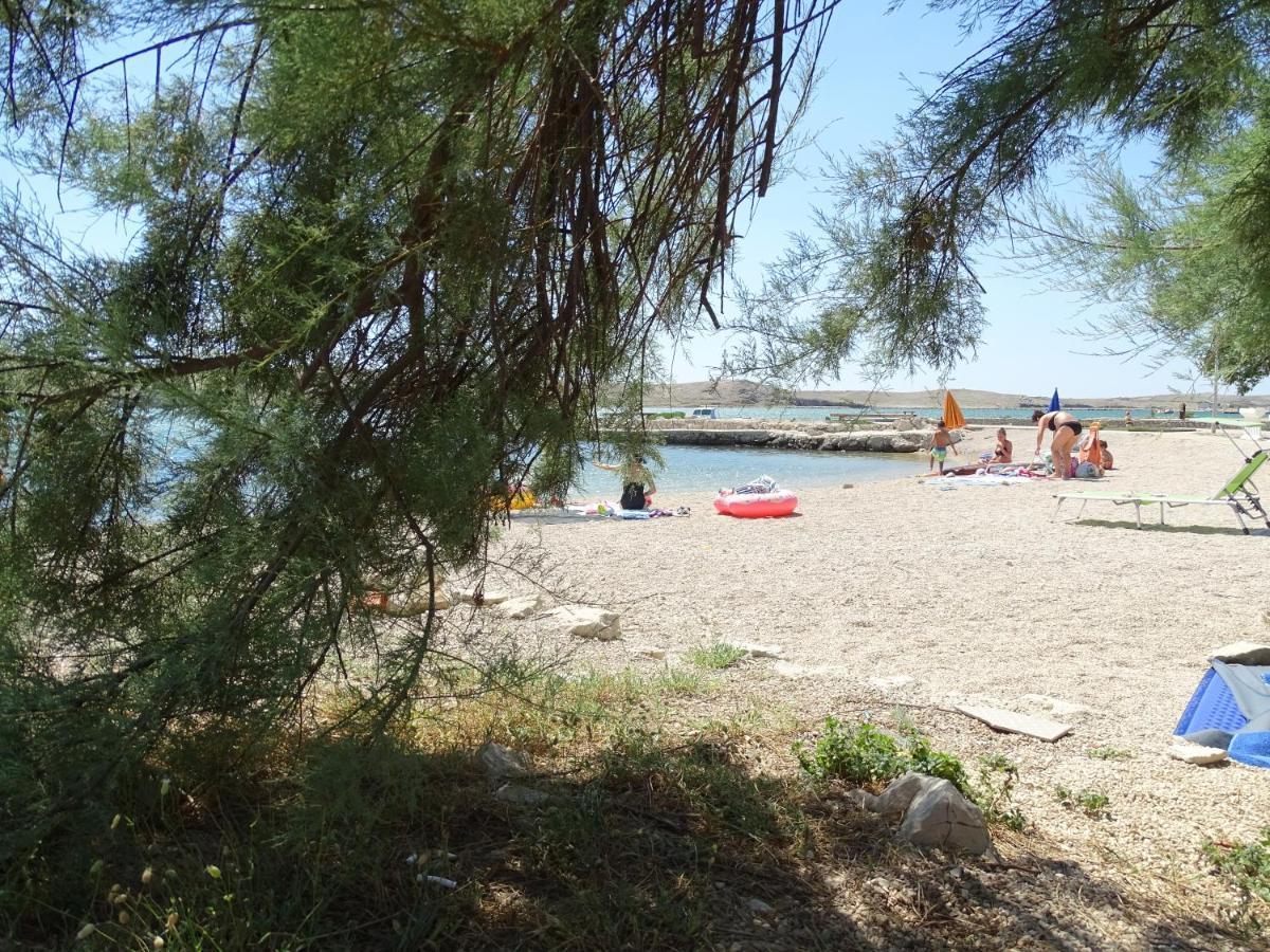 Apartments Sime Dinjiška Εξωτερικό φωτογραφία