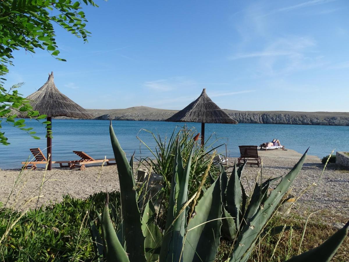 Apartments Sime Dinjiška Εξωτερικό φωτογραφία