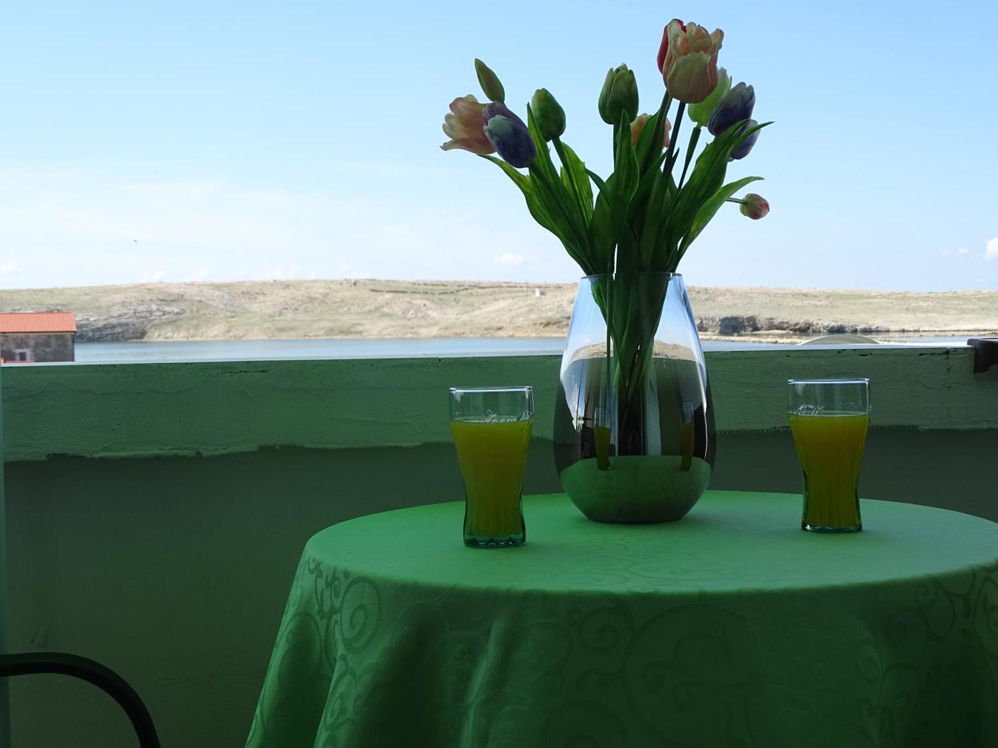 Apartments Sime Dinjiška Εξωτερικό φωτογραφία