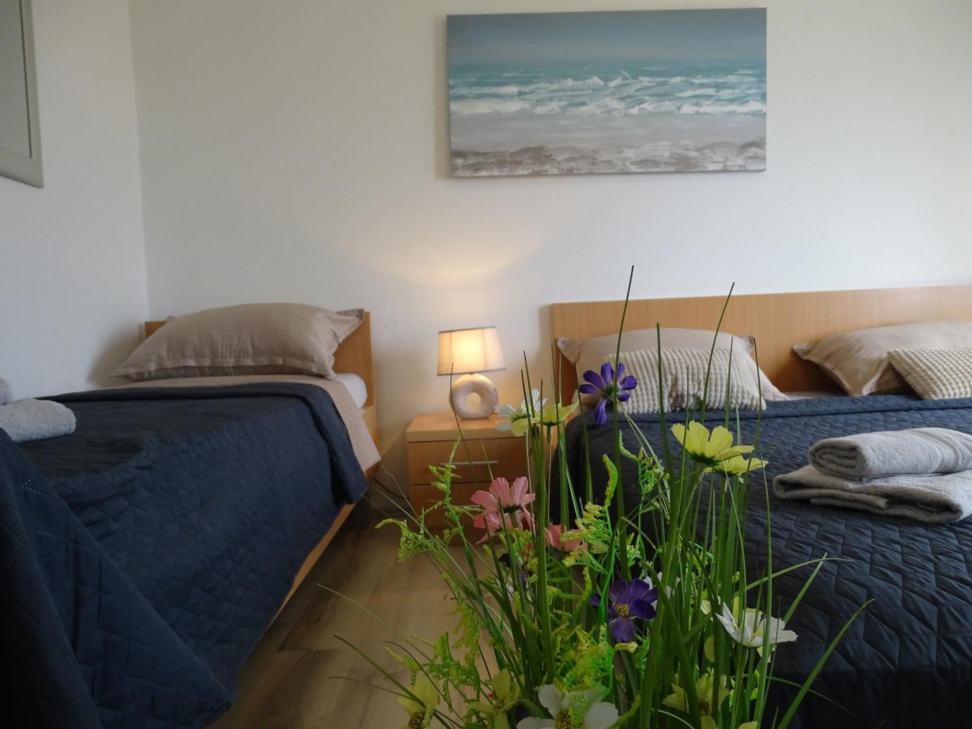 Apartments Sime Dinjiška Εξωτερικό φωτογραφία