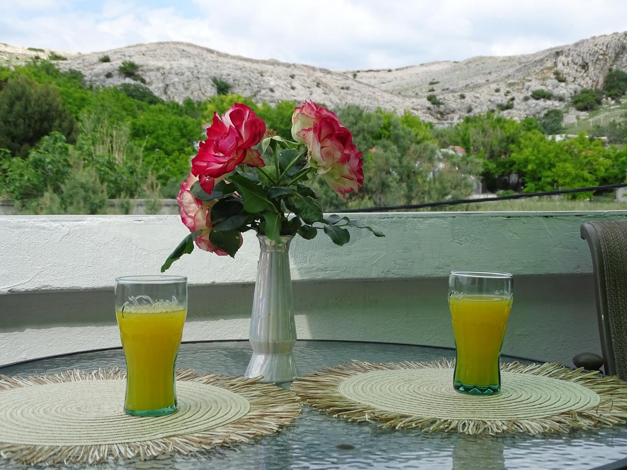 Apartments Sime Dinjiška Εξωτερικό φωτογραφία